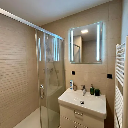 Luxury Wenceslas With Free Parking * Praag