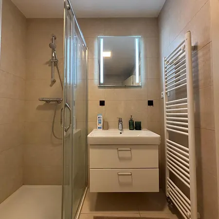 Luxury Wenceslas With Free Parking * Praag